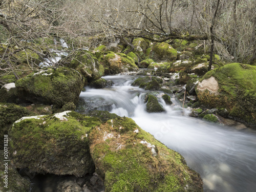 Fototapeta Naklejka Na Ścianę i Meble -  river with stones and moss
