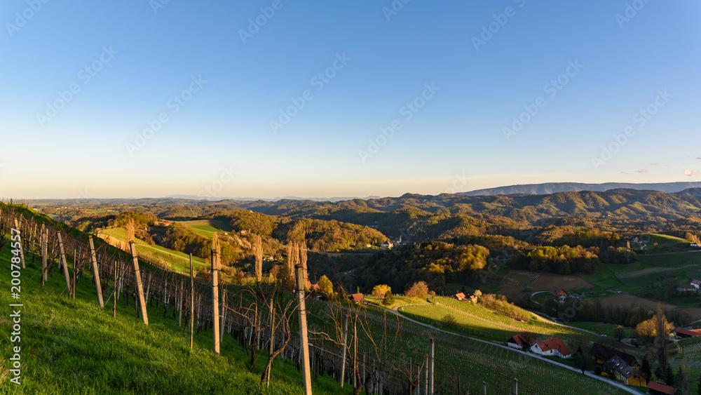 View over the the vineyards an the foggy valleys of slovenia south Styria Sustria Libenitz