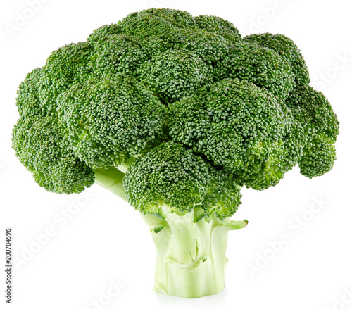 raw broccoli isolated