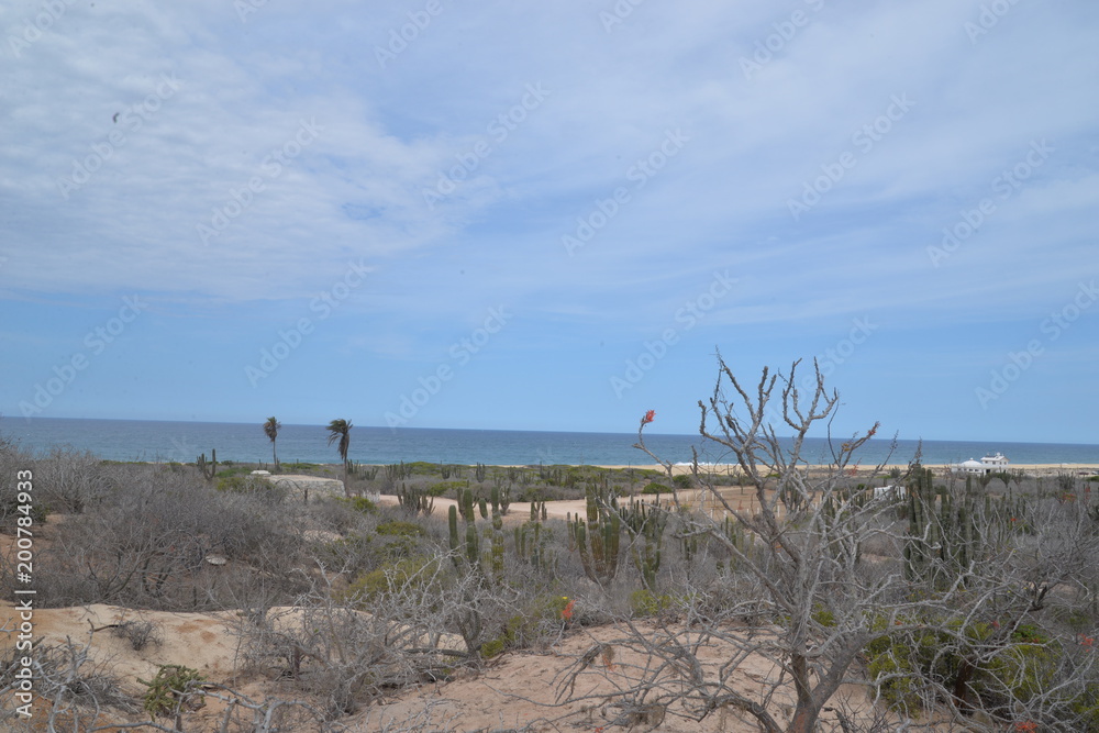 Beautiful scenery in beautiful Mexico. Travels. recreation