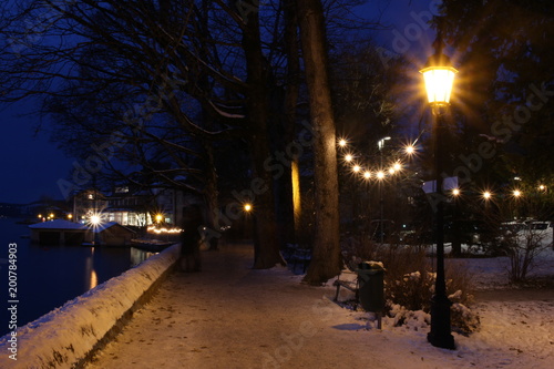 romantischer Weg im Winter I