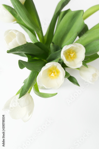 Delicate Tulip Florals
