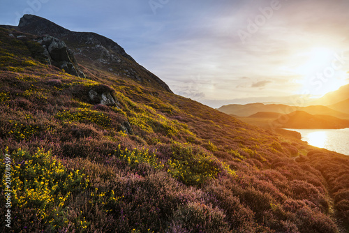 Beautiful vibrant sunrise landscape over Cregennen Lakes with Cadair Idris in background in Snowdonia photo