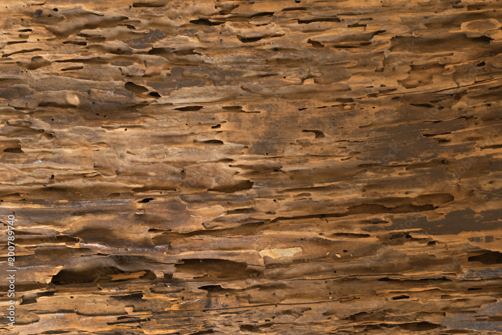 Fototapeta premium Madera agrietada colores marrón y ocres