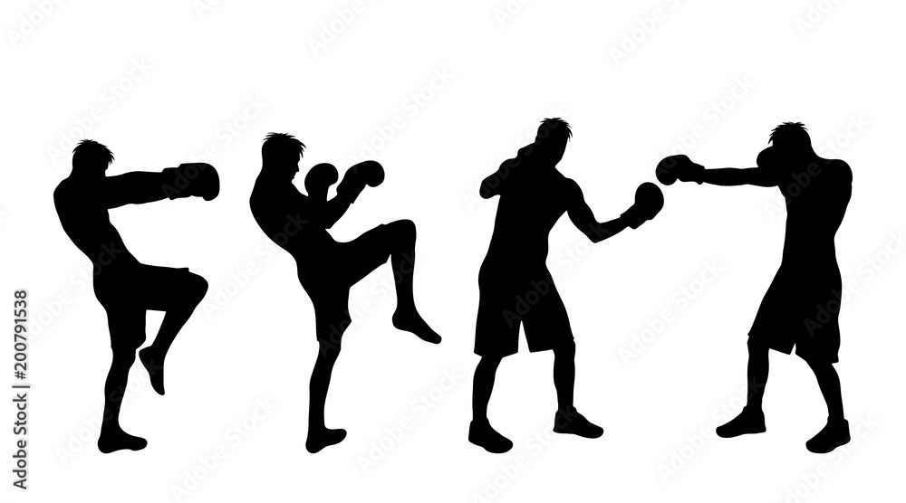 Vector silhouette of man who boxing on white background.