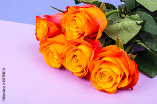 Bouquet of roses on bright background with place for text  background for greeting card