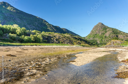 The transparent water of the bay, the stones and the green grass, Lofoten, Norway