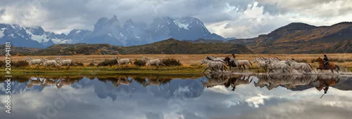 Obraz Chilijskie Gauchos i stado koni, malownicza panorama. Park Narodowy Torres del Paine, Patagonia, Chile