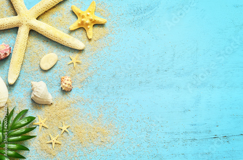 Summer sea background. Seashells, starfish and palm branch on a wooden blue background