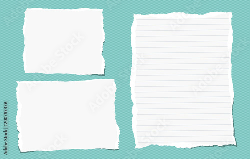 Torn note, notebook paper pieces for text stuck on turquoise square background. Vector illustration.