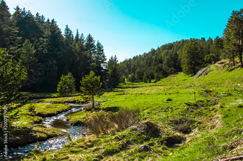 su ve orman