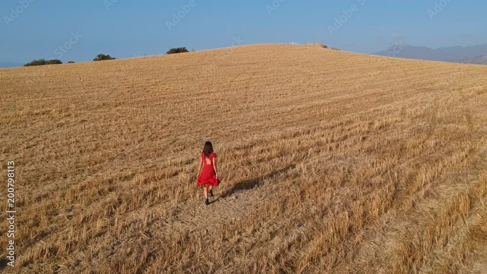 Aerial view of woman in boho dress running in field Aerial view of woman in boho dress running in field