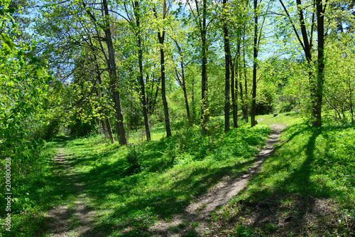 Beautiful spring landscape