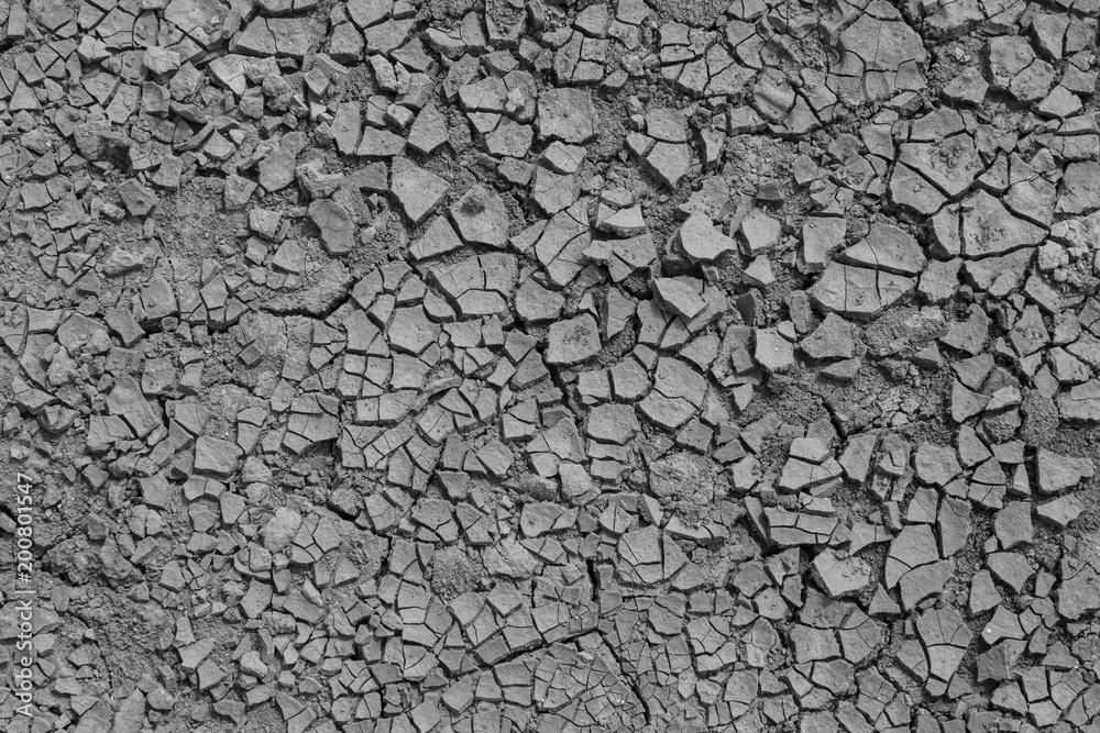 cracked earth black and white cracked earth black and white