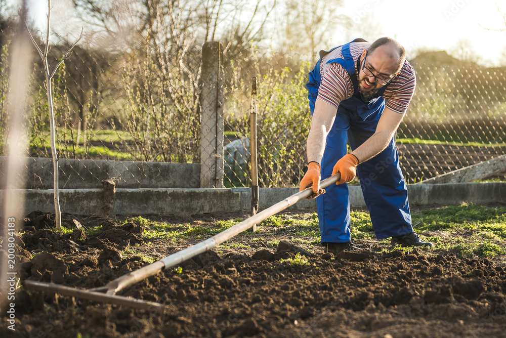 Farmer working in the garden with the help of a rake leveling plowed land, on a sunny day Farmer working in the garden with the help of a rake leveling plowed land, on a sunny day