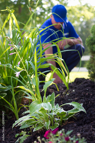 A service man working in a garden full of flowers and grass