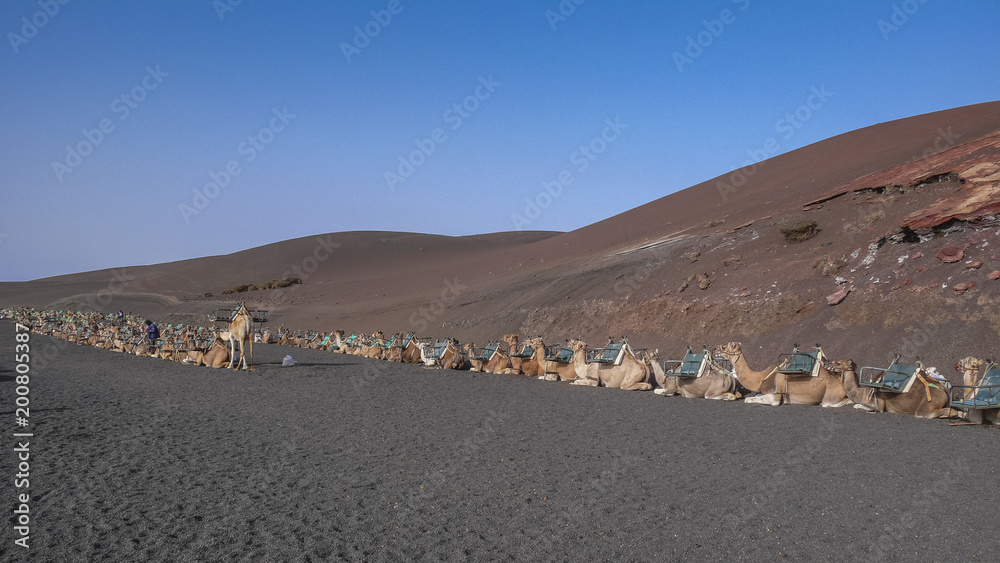 details of the island of lanzarote details of the island of lanzarote