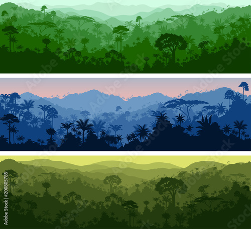 set of vector horizontal seamless tropical rainforest Jungle backgrounds