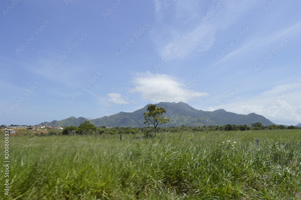 Fototapeta premium beira de estrada
