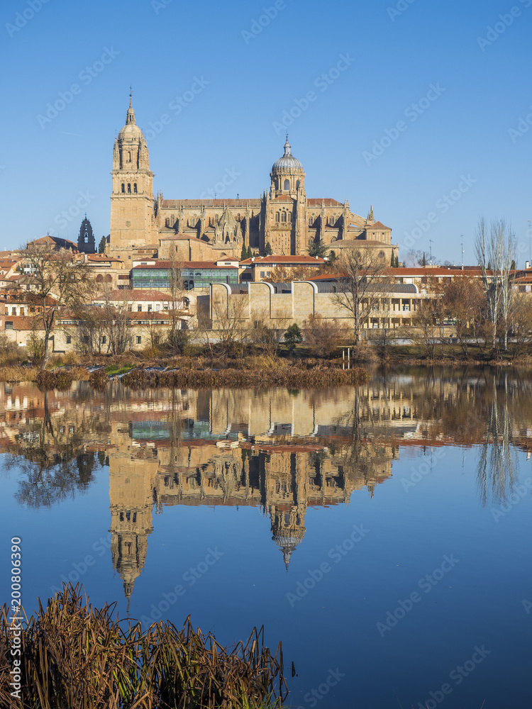 cathedral of Salamanca next to the river