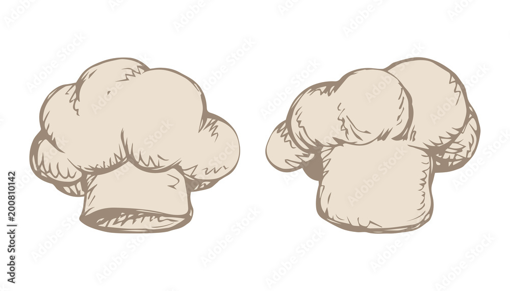 Obraz premium Hat cook. Vector drawing