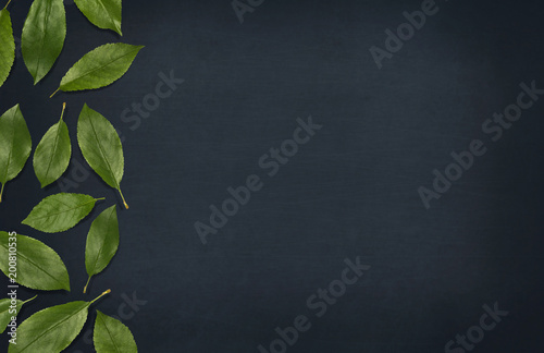 Fresh green leaves composition on blackboard. Border of leaves on dark background. Top view, flat lay