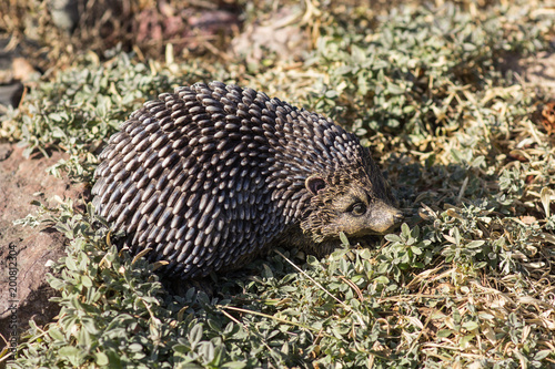 A decorative hedgehog on a grassy land with moss photo