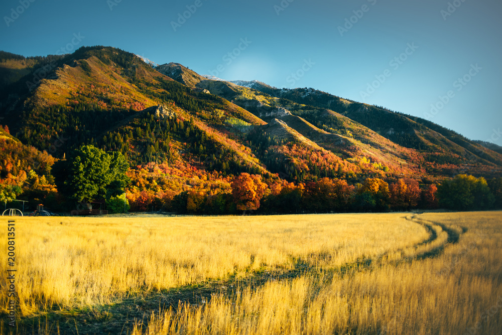 golden autumn landscape view in utah