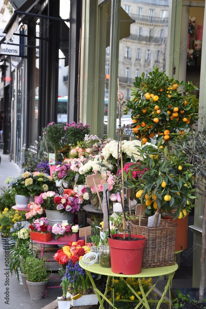 magasin de fleurs,, paris