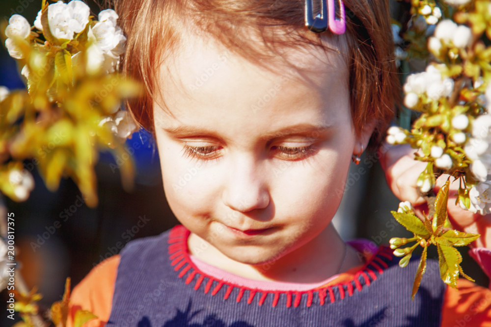 Naklejka premium Beautiful little child girl holds in hand the blossoming apple tree branch with white flowers in a garden in evening sunshine. Concept of happy childhood.