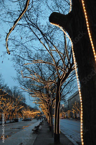 christmas, berlin, lights, tree, blue, sky, winter, festive, silhouette, germany, unter, den, linden, quiet, empty, europe, travel, traveling, photography, photographer, capture, nikon, photo