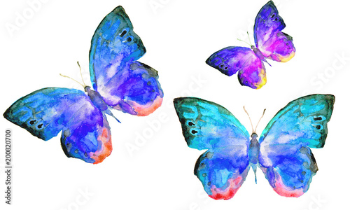 beautiful butterflies, watercolor, isolated on a white © aboard