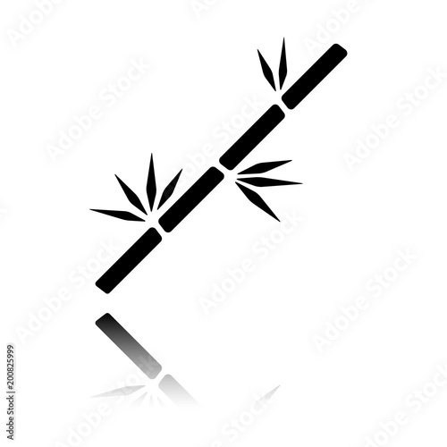 bamboo branch icon. Black icon with mirror reflection on white background