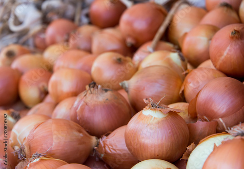 Onions Pile Background