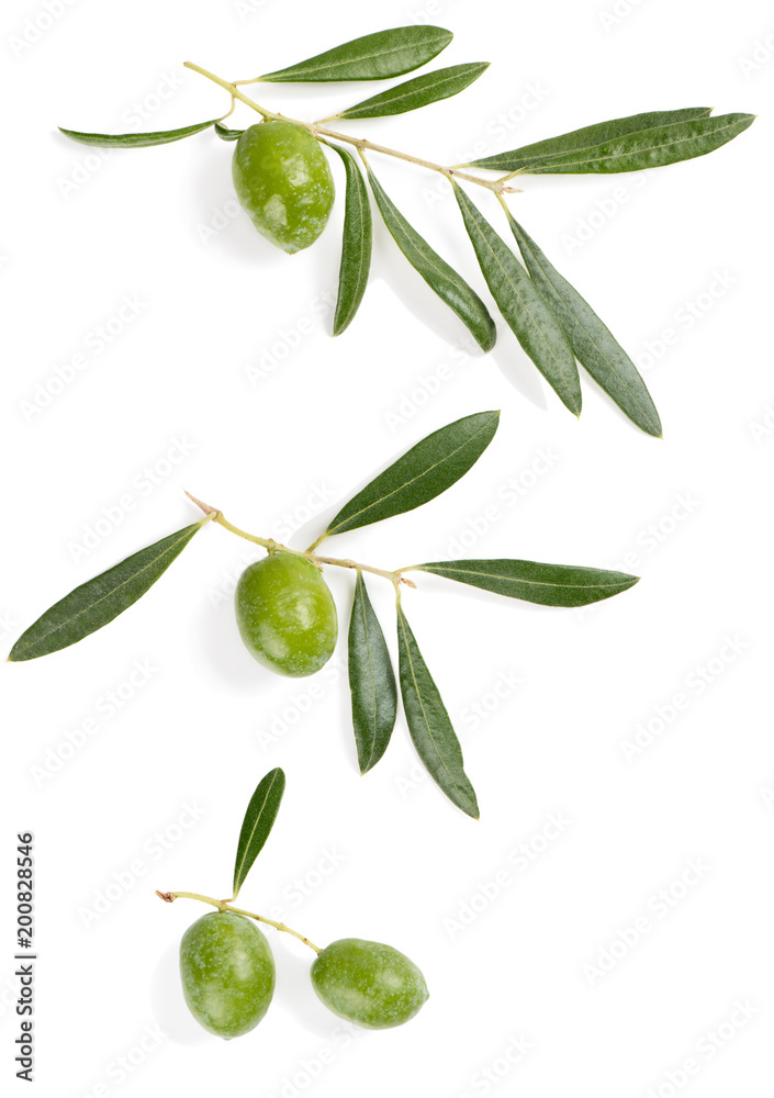 Fototapeta premium Olives on a branches, close up.