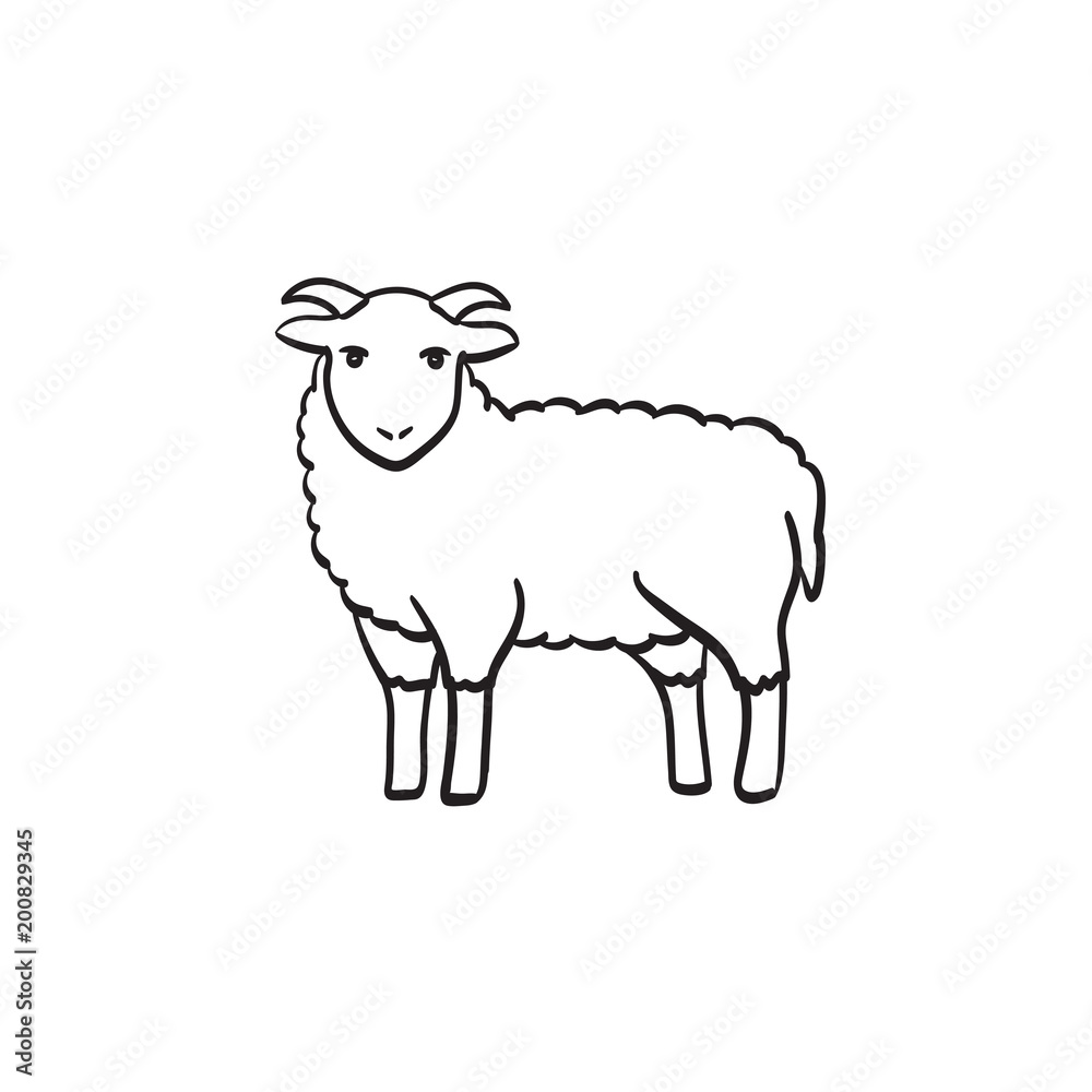 Fototapeta premium Goat hand drawn outline doodle icon. Ram vector sketch illustration for print, web, mobile and infographics isolated on white background.