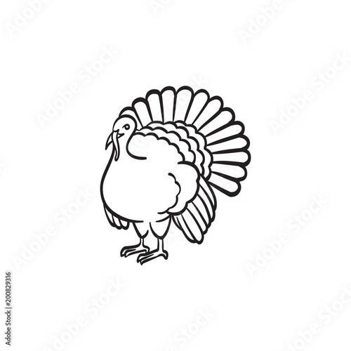 Turkey hand drawn outline doodle icon. Thanksgiving day dish from bird - turkey vector sketch illustration for print, web, mobile and infographics isolated on white background.