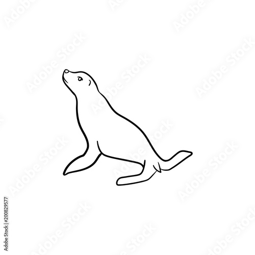 Fur seal hand drawn outline doodle icon. Vector sketch illustration of fur seal for print, web, mobile and infographics isolated on white background.