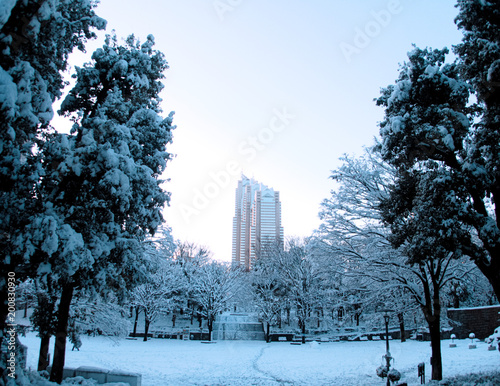 Wall Mural Japan Tokyo winter