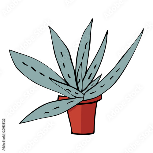 flat vector illustration of home green aloe in red plastic pot with shadow