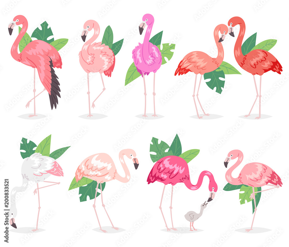 Obraz premium Flamingo vector tropical pink flamingos and exotic bird with palm leaves illustration set of fashion birdie in tropics isolated on white background