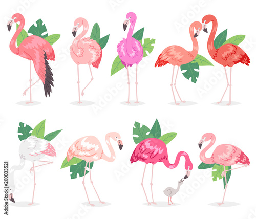Flamingo vector tropical pink flamingos and exotic bird with palm leaves illustration set of fashion birdie in tropics isolated on white background