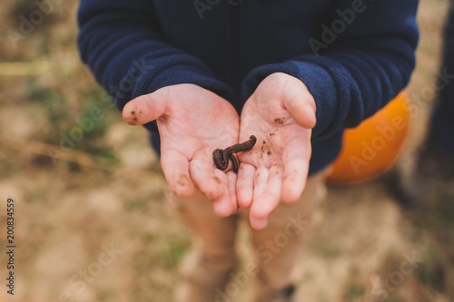 Close-up of child holding worm photo