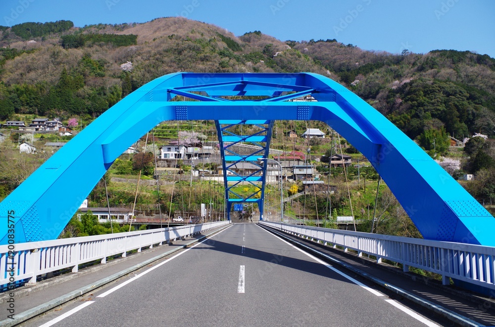 Fototapeta premium 祖谷口橋
