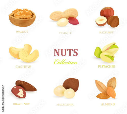collection of delicious nuts for your design