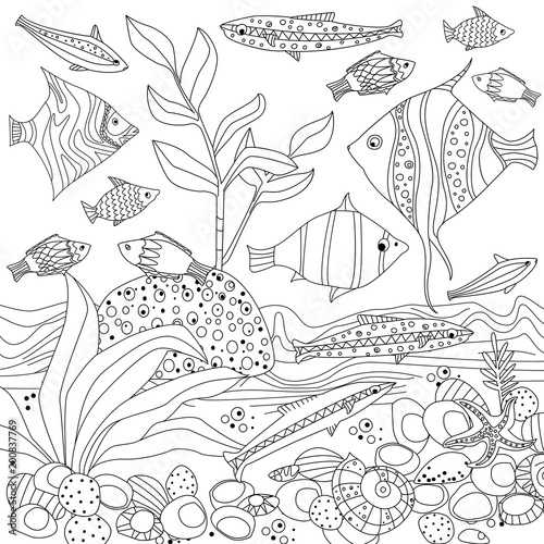 decorative fishes and seaweed for your coloring book