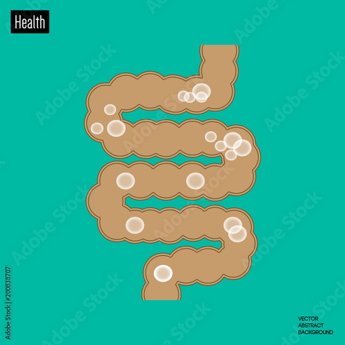 Intestine. Bacteria in the intestine. Intestinal diseases. Intestine silhouette. flatulence