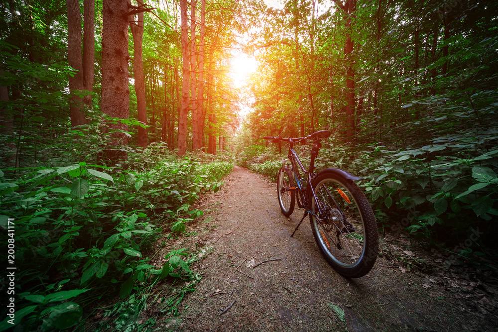 Mountain biking down hill descending fast on bicycle. View from bikers eyes. Mountain biking down hill descending fast on bicycle. View from bikers eyes.
