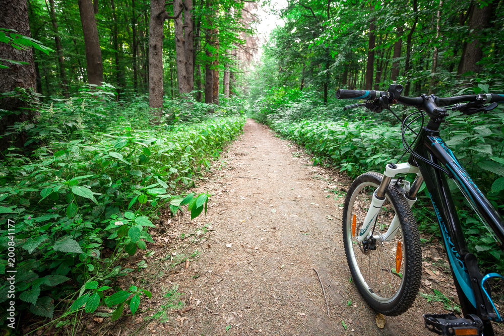 Mountain biking down hill descending fast on bicycle. View from bikers eyes. Mountain biking down hill descending fast on bicycle. View from bikers eyes.