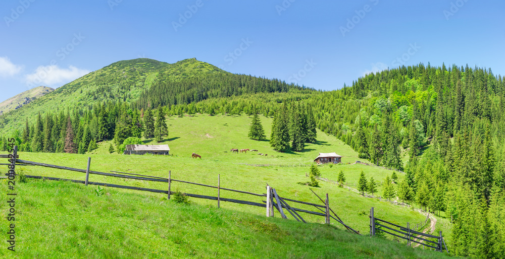 Mountain landscape with mountain pasture in the foreground